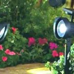 Landscape Lighting